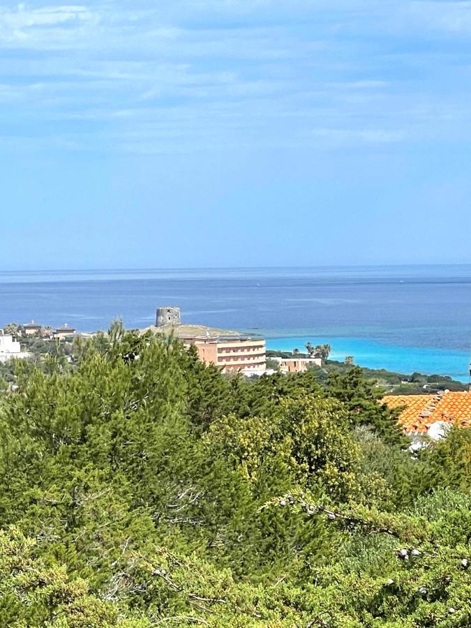 Casa Vacanze Stintino Vista Mare Ngoại thất bức ảnh